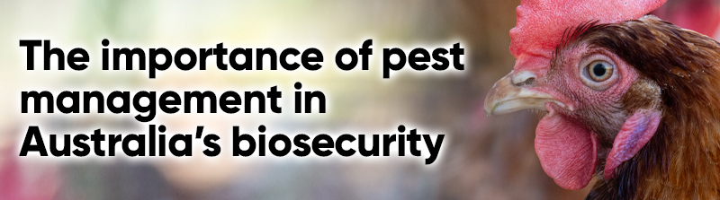 Bird Flu Australia Biosecurity Pest Management