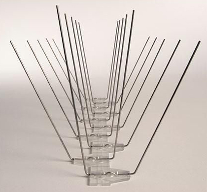 Avipoint P20 Bird Spikes