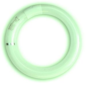Synergetic 22W Circline Tube Shatterproof